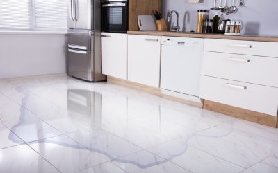 Bring Your Dream Kitchen to Life by Hiring a Kitchen Remodeling Contractor Near Stoughton, WI