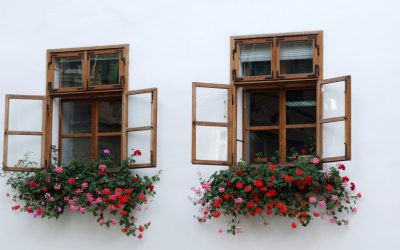 Upgrade Home Style And Efficiency With Wood Windows In San Francisco CA Residents Prefer