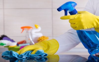 Get a Healthier Home with Professional Home Cleaning In North Aurora, IL, for Busy Families